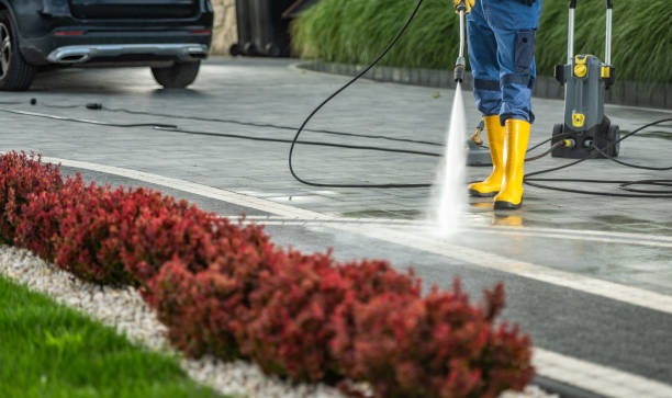 Best Roof Pressure Washing  in Corvallis, MT